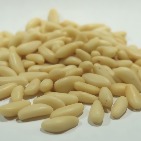 PINE NUT KERNELS