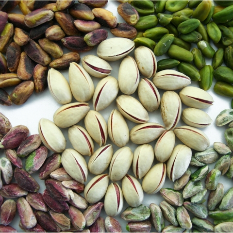 PISTACHIO NUTS AND KERNELS